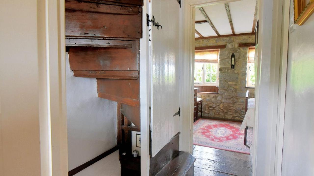 Lavender Cottage Lyme Regis Ngoại thất bức ảnh
