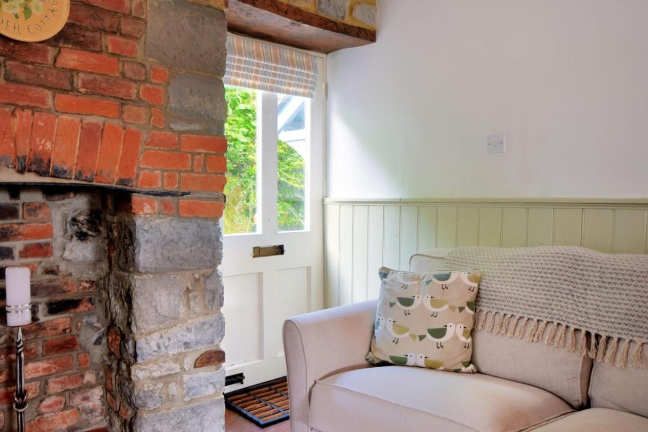 Lavender Cottage Lyme Regis Ngoại thất bức ảnh