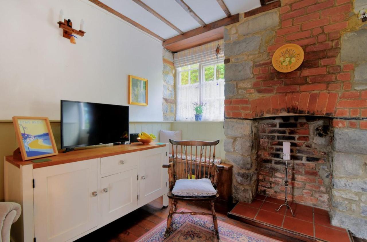 Lavender Cottage Lyme Regis Ngoại thất bức ảnh