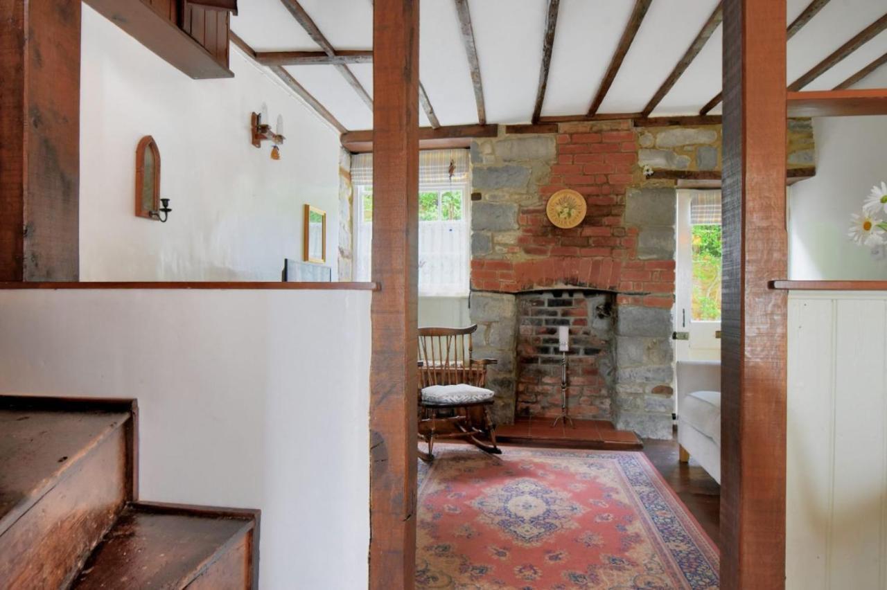 Lavender Cottage Lyme Regis Ngoại thất bức ảnh