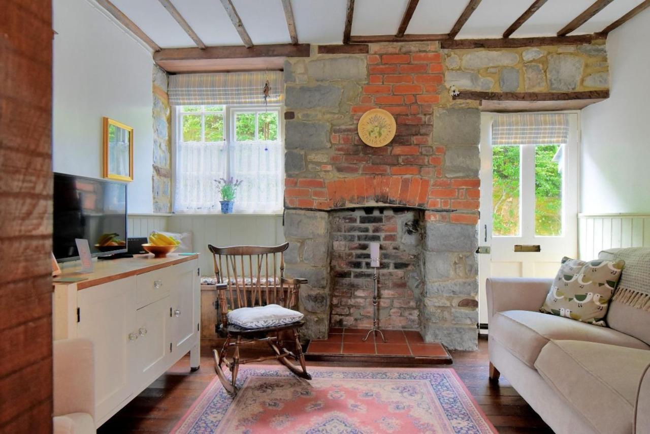 Lavender Cottage Lyme Regis Ngoại thất bức ảnh